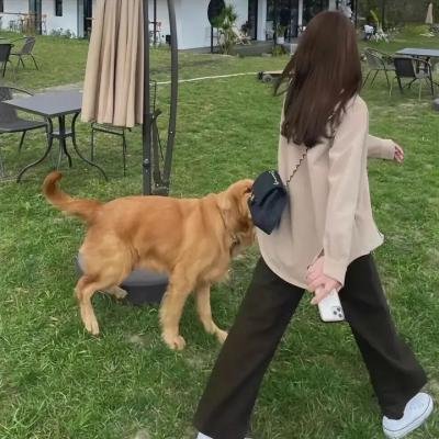 爱在柏林漂流时